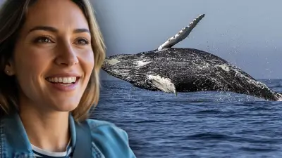 El Acuario del Mundo: Mar de Cortés en Los Cabos, paraíso marino