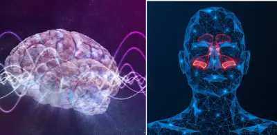El olfato: el único sentido que se regenera y protege el cerebro con el tiempo