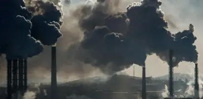 Eliminar combustibles fósiles es una obligación legal, afirman 250 expertos