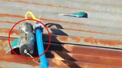 Explosivo de alto poder cayó en techo de vivienda en El Plateado y no estalló