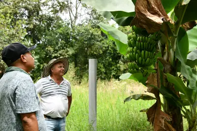 Finca agroecológica El Astro: ejemplo de reincorporación y paz en el Valle del Cauca