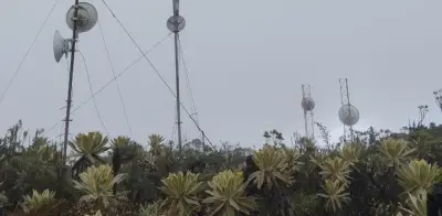 Fiscalía judicializa a 11 integrantes de red que robaba equipos de antenas en el Valle de Aburrá