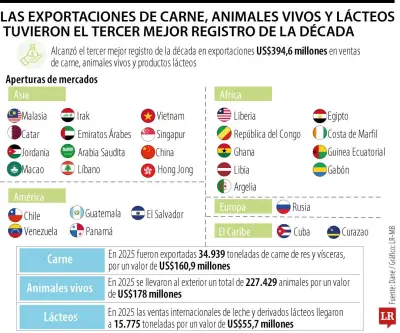 Gobierno evalúa prohibir exportaciones de carne bovina para reducir precios internos