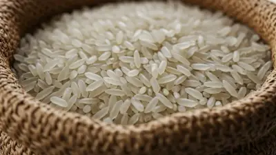 Gobierno ordena fortificación obligatoria de arroz y harinas para combatir déficits nutricionales