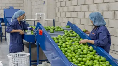 Gremios en Santander rechazan bloqueos y exigen fin de protestas por daño económico