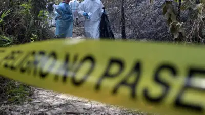 Hallan cinco cuerpos con impactos de bala en vía pública: lo que se sabe hasta ahora