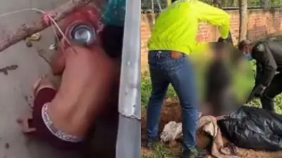 Hallan enterrada a perrita 'Kira' tras brutal golpiza captada en video en Bucaramanga