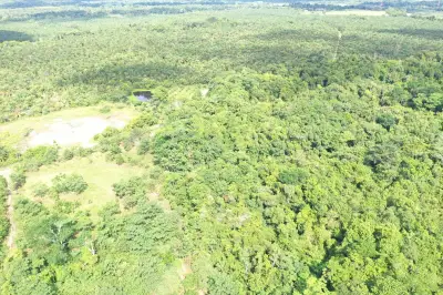 La Tayra: De la tragedia petrolera a un bosque renacido en Barrancabermeja