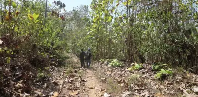 La tierra prometida: análisis de la reforma agraria en Colombia