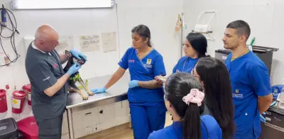 Medellín ofrece curso gratuito de primeros auxilios para mascotas: salva vidas de perros y gatos