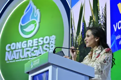 Naturgas propone Compromiso Nacional para consolidar al gas como energía estratégica de Colombia