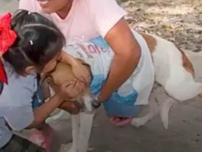 Niña cubre los ojos de su perrito durante vacuna en emotivo gesto de protección