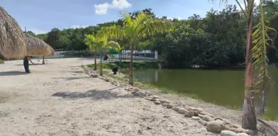 Obra de playa artificial en laguna protegida de Ricaurte, Cundinamarca, es frenada por autoridades ambientales