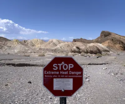 ONU alerta: calor extremo pone en riesgo los sistemas alimentarios mundiales