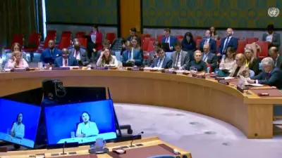 ONU reconoce avances en paz colombiana pero alerta sobre violencia persistente en regiones