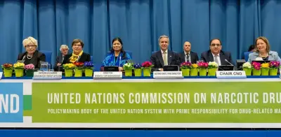 Panel de expertos de la ONU sobre drogas: ¿avance real o nueva prórroga del problema?