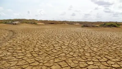 Posible llegada del fenómeno de El Niño a finales de 2026 preocupa a Colombia
