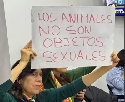 Proyecto de ley busca cárcel para abuso sexual contra animales en Colombia