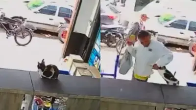 Robo de gatica en centro de Bogotá: video muestra hurto en local comercial