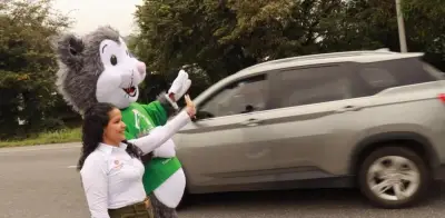 Rutas Vivas: Estrategia nacional para reducir atropellamientos de fauna y proteger vidas en carreteras