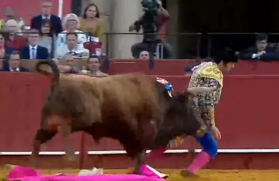 Torero español José Antonio Morante se recupera tras grave cornada en Sevilla: 'El dolor más fuerte de mi vida'