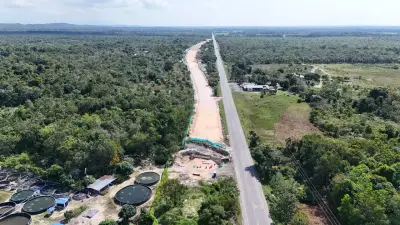 Troncal del Magdalena 2 supera 39% de avance en ejecución vial