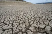 Alerta por El Niño 2026: 61% de probabilidad entre mayo y julio
