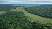 Amazonía colombiana alerta en FILBo 2026: presentan plan para evitar punto crítico ecológico