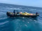 Armada colombiana incauta 1,7 toneladas de marihuana en operación de rescate en Buenaventura