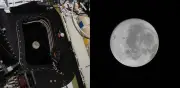 Artemis II inicia sobrevuelo lunar histórico: cómo ver en vivo el hito de la nave Orión