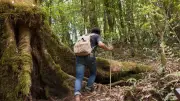 Bogotá ofrece caminatas ecológicas gratuitas en humedales durante abril