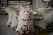 Café colombiano consolida su crecimiento en China tras 20 años de presencia estratégica