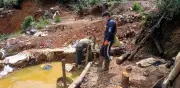 Cali en alerta: Minería ilegal en Farallones amenaza el agua potable de 600 mil personas