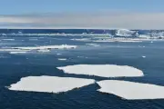 Calor de profundidades oceánicas amenaza plataformas de hielo antárticas