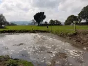CAR sanciona establo en Zipaquirá por vertimientos de aguas residuales