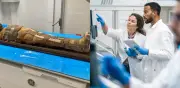 Científicos hallan papiro oculto en momia egipcia de 2.000 años mediante tecnología no invasiva