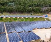 Colgas y Ladrillera Santafé inauguran gran parque solar en Soacha para impulsar sostenibilidad