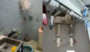 Descubren planta ilegal de agua en Santa Marta: embotellaban en baño con ratas