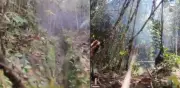 Ejército neutraliza ocho explosivos del ELN en Anorí, Antioquia, evitando atentado contra civiles
