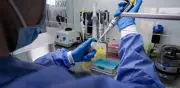 El corazón científico de Bogotá: cómo el Laboratorio de Salud Pública define las alertas sanitarias