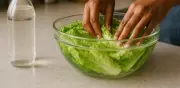 El error común al lavar lechuga y cómo desinfectarla correctamente para evitar riesgos