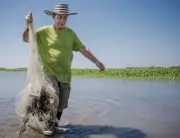 Fallece Germán Galvis, eminente ictiólogo colombiano de la UNAL