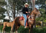 Familia de Yeison Jiménez rechaza vínculos con 'El Mison' tras polémica por anillo