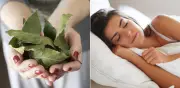 Feng Shui recomienda hojas de laurel en la almohada para mejorar el sueño y equilibrar energías