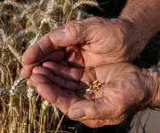 FMI, BM y PMA advierten que conflicto bélico profundiza crisis alimentaria global