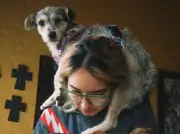 Fundación animal pierde cuentas de Instagram tras polémica por rifa benéfica