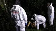 Hallan cuerpos de dos jóvenes secuestrados en Jamundí en zona rural de Suárez, Cauca