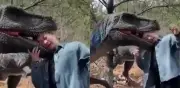 Hombre herido al meter cabeza en dinosaurio robótico en parque chino