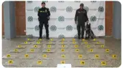 Incautan más de 20 kilos de marihuana en el aeropuerto El Dorado