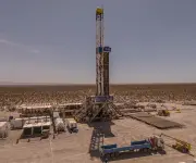 Incentivos de Milei impulsan el yacimiento Vaca Muerta en Argentina